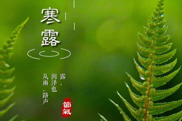 煲仔皇煲仔饭寒露开煲：300℃砂锅炙出的岭南腊味香